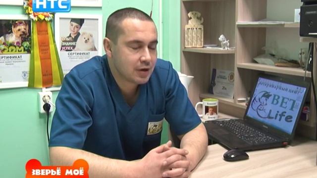 Зверьё моё - Выпуск №20 (Корм для питомцев) смотреть онлайн