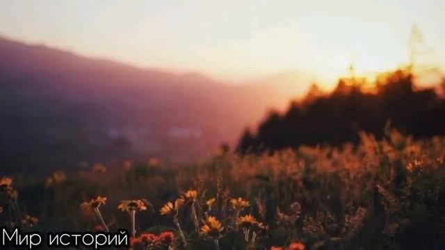 Не выдержав издевок, официантка вылила суп на голову жене хозяину ресторана и ушла. смотреть онлайн