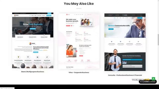 Excitor Business Consulting WordPress Themes company audit Kijima смотреть онлайн
