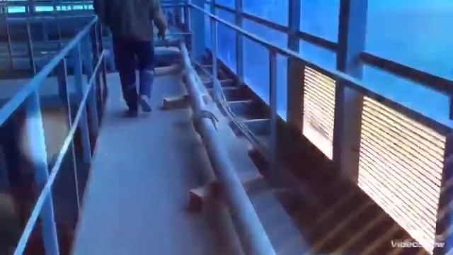 Бетононасос,стационарный насос.87019440622.87021658447 смотреть онлайн
