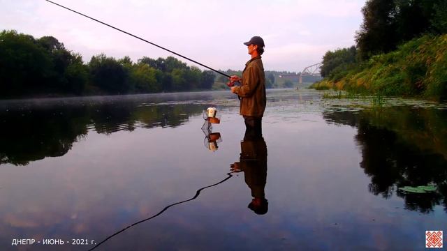 93) ОРША - ДНЕПР -утро ( 30 июня 2021 г. ) смотреть онлайн