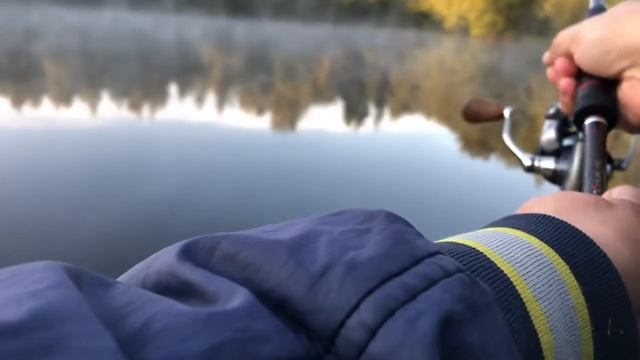 Спиннинг Maximus и его
чувствительность.
Обзор спиннинга