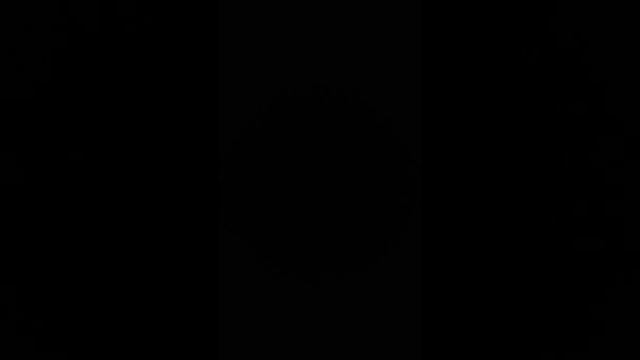 Крик ушастой совы в ночи и сердитый ёж.