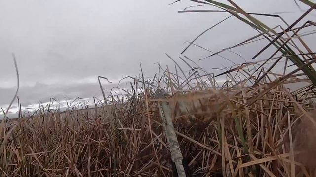 Duck Hunting - CRAZIEST STORM Of This Waterfowl Season
