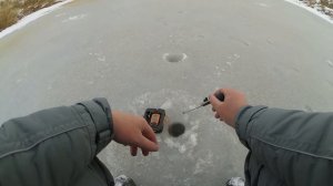 ПЕРВЫЙ ЛЕД: КОРОЛЕВСКАЯ СОРОГА! Рыбалка на безмотылку, ловля плотвы и окуня на мормышку