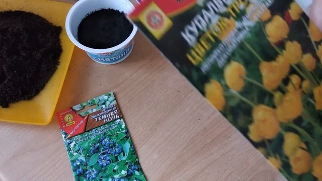 КАК #СТРАТИФИЦИРОВАТЬ #СЕМЕНА В ДОМАШНИХ УСЛОВИЯХ смотреть онлайн