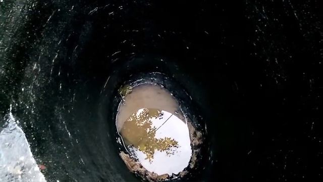 Пруд своими руками из бетона .Часть 3.