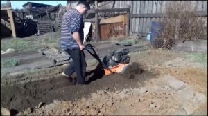 Культиватор ,Посадка картофеля ,картошка