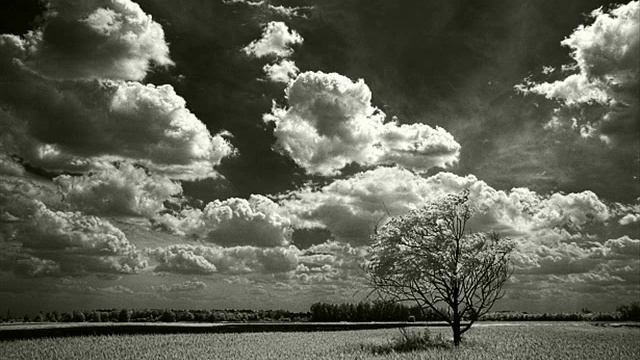 Mode - Chujova busena смотреть онлайн