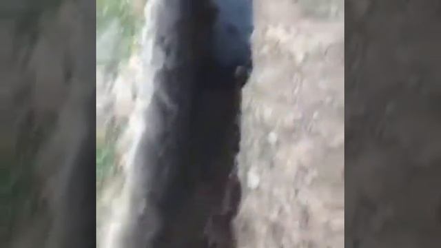 Канализация как сделать правильно смотреть онлайн