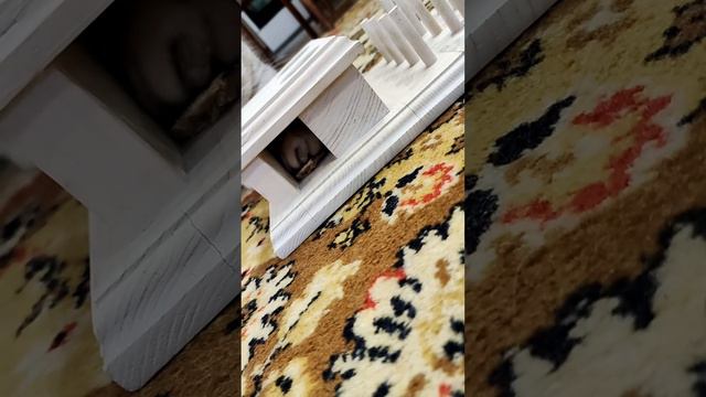 Интеллектуальная игрушка и лакомство для кошек смотреть онлайн