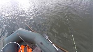 Рыбалка на паук подъёмник.Щуки на малька