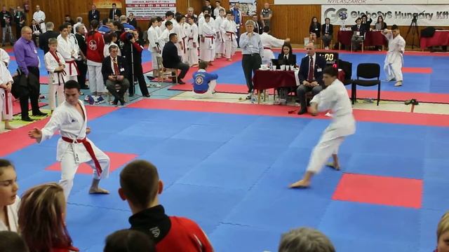 Ливицкий.ЧемпЕвропы шотокан каратэ13. Венгрия. Ката смотреть онлайн