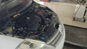 Какое моторное масло я заливаю в Nissan Tiida Latio 1.8л. Без рекламы!!!