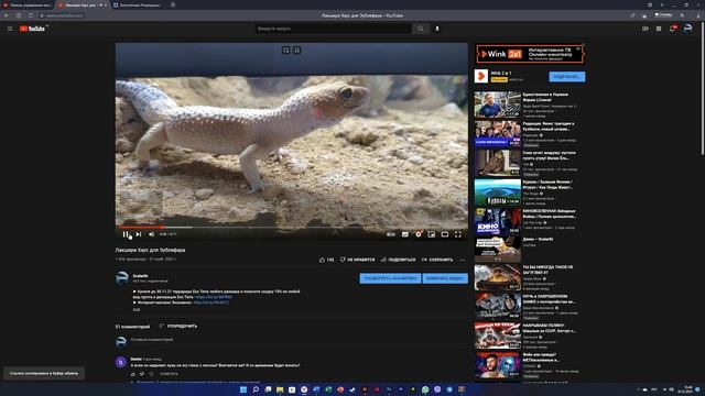 Гигрометр и Термометр Exo Terra - итоги розыгрыша смотреть онлайн