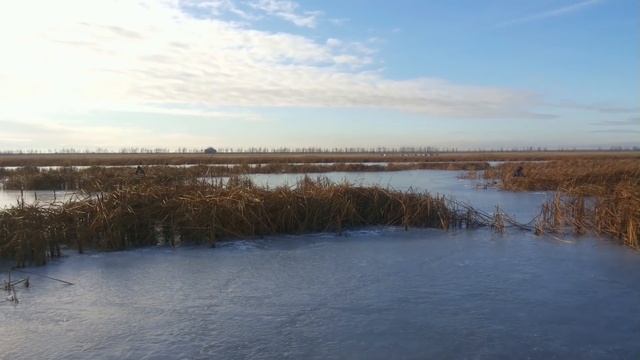 Рыба ротан Магнитка смотреть онлайн