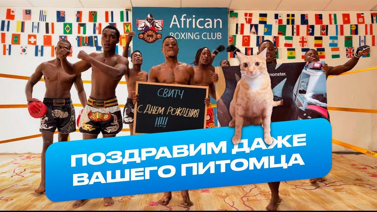 Хозяин заказал видеопоздравление для своего любимого котика ☺️ смотреть онлайн