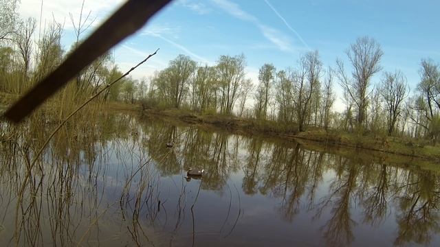 Весенняя охота на великана-крякаша смотреть онлайн