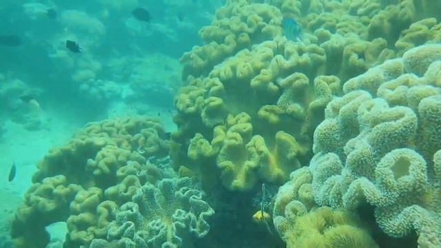у моря смотреть онлайн