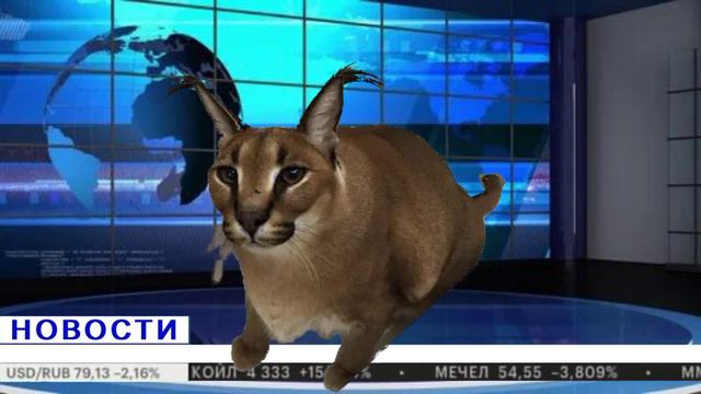 новости от шлёпы про шлёпинск смотреть онлайн