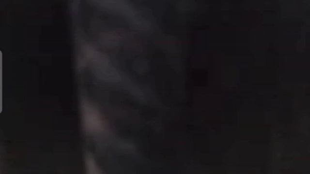 Волки в астраханском зоопарке смотреть онлайн