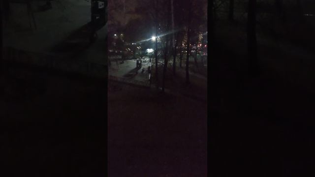 Первый снег в Ярославле 23 октября 2023 #ярославль #снег смотреть онлайн