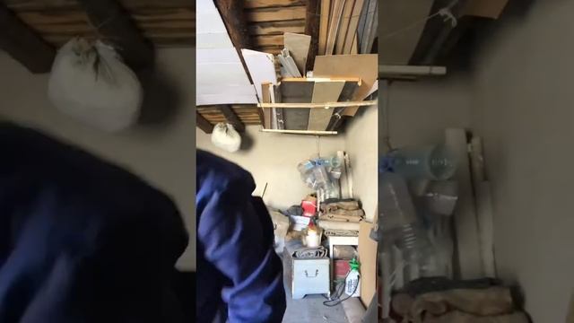 Қойдың жағын айыру немесе басты дұрыс бөлу смотреть онлайн