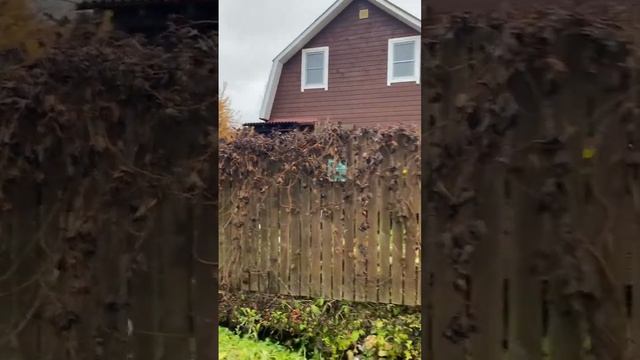 Один из каркасных домов, возведённых нами более 13 лет назад ) и баня здесь же. Вырица