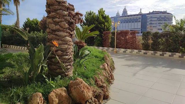 J'ADORE DELUX HOTEL & SPA 5 *****.2022.11.28.краткий обзор отеля нон-стоп