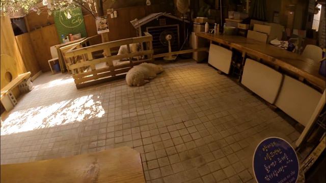 На улицах Сеула