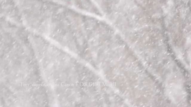 "Первый снег.Ноябрь"-замедление, видеокамера Canon EOS C100 MarkII смотреть онлайн