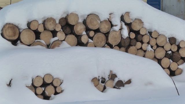 В Ревде планируют разработать проект газоснабжения для коттеджного поселка в районе «Биатлона» смотреть онлайн