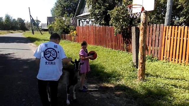 Детская баскетбольная корзина смотреть онлайн
