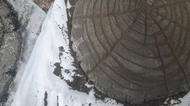 Садовая дорожка из артбетона под спил дерева. смотреть онлайн