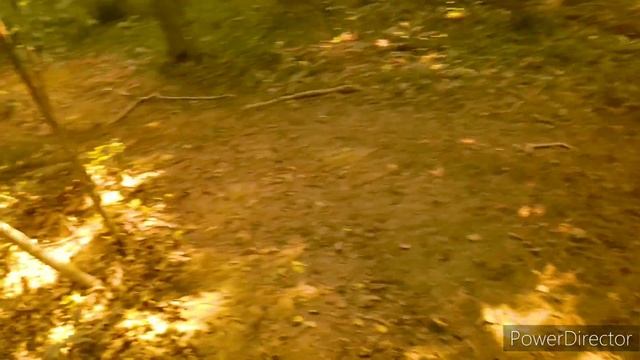 Axis M200 72 Tooth Sprocket Predator 212 Swap Off Road Test Extreme torque! смотреть онлайн
