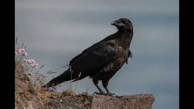 Русские имена Олимпийских Богов смотреть онлайн