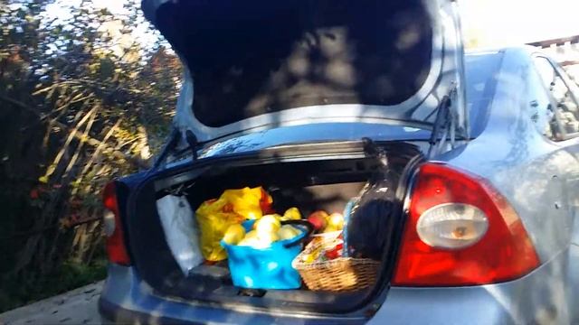 Урожай наш, осень 29.09.2018 дача смотреть онлайн
