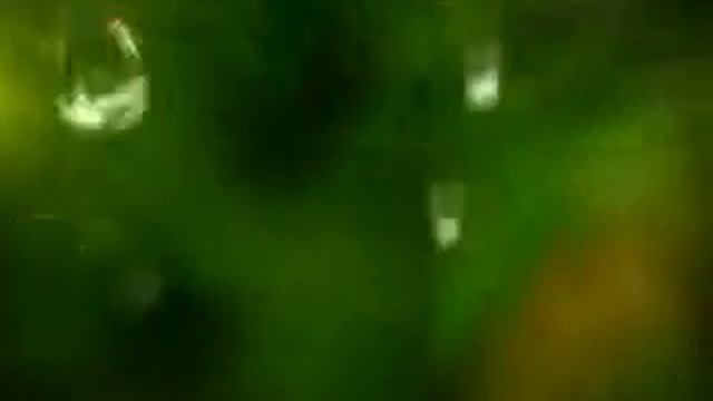 2. J�la 2008 11:05