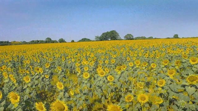 Что находится внутри нейтронной звезды смотреть онлайн