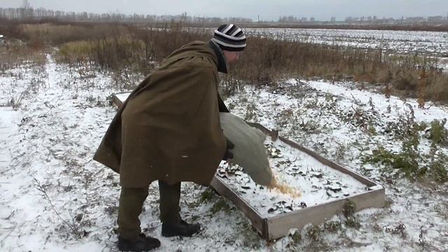 Закрываем на зиму клубнику и клубничную рассаду смотреть онлайн