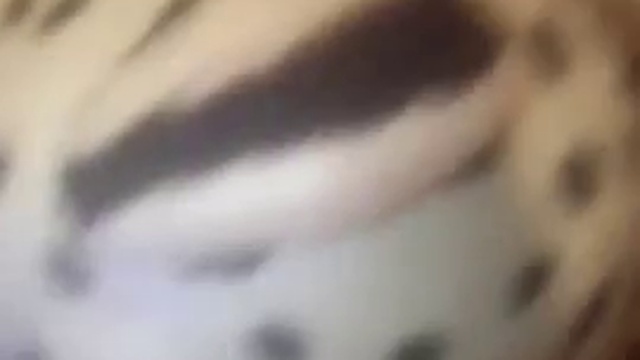 Оператор шоу 1 смотреть онлайн