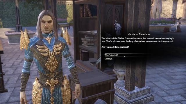 Now is the Best Time to Play The Elder Scrolls Online смотреть онлайн