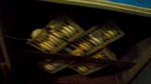 Как в инкубатор ИПХ -10 "Петушок" поместит не 100, а 150-160 куриных яиц .