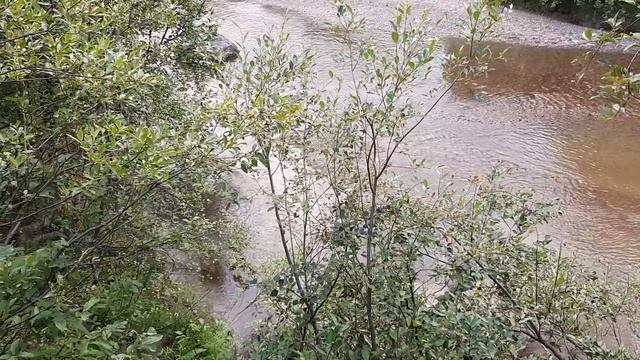 20 07 20 Пограничная яма 2 смотреть онлайн