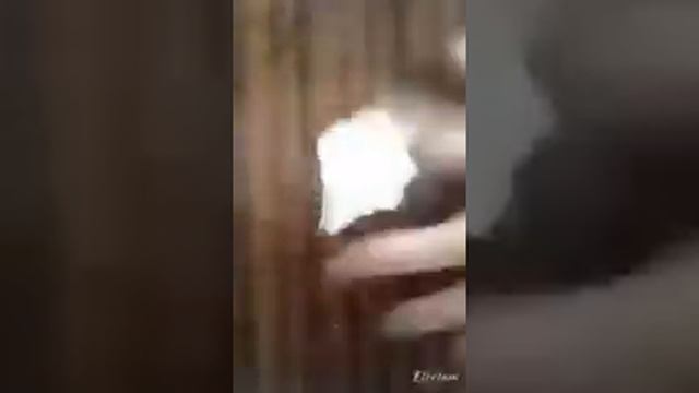 ШОК😨СЛАЙМ ИЗ КЛЕЯ КАРАНДАША смотреть онлайн