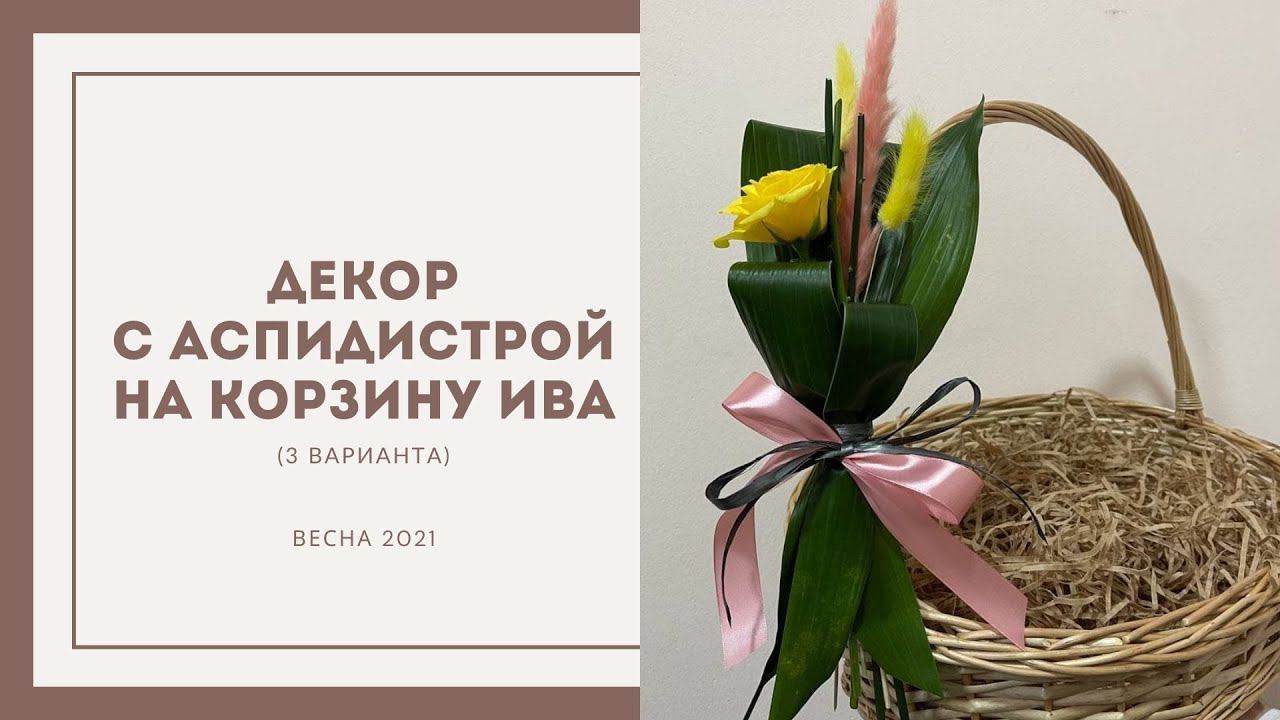 Декор с аспидистрой на корзину ива. 3 варианта смотреть онлайн