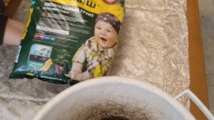 УКОРЕНЯЕМ РАЗНЫЕ ЦВЕТЫ ИЗ БУКЕТА. Розы, альстромерии, эустому, хризантему, гвоздику. Часть 1.