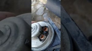 Ремонт сигнала гудка на Форд фокус 3