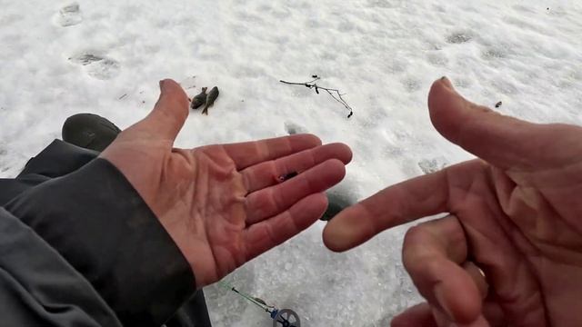 На Рыбалку,для души!!! Эстония и Латвия. смотреть онлайн