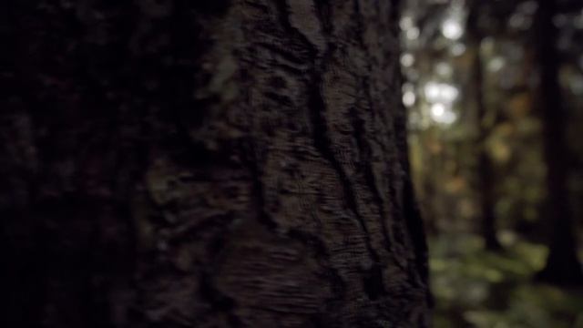 Медитация "Волшебный полет" смотреть онлайн